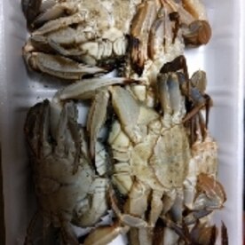 旨味がギュッっと詰まった丸蟹 平爪蟹 のお味噌汁 レシピ 作り方 By 姉さん 楽天レシピ 旨味がギュッっと詰まった丸蟹 平爪蟹 のお味噌汁 レシピ 作り方 By 姉さん 楽天レシピ